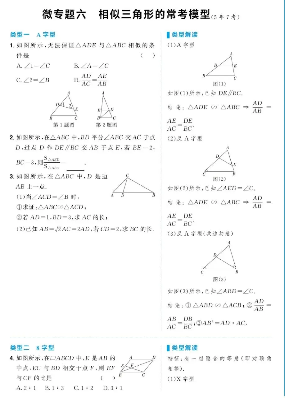 2026《初中数学•中考总复习导与练》PDF高清电子版,网盘打包下载 第10张
