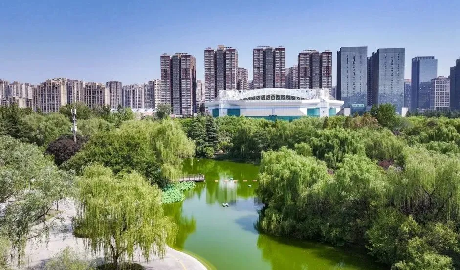 城运寒假成长四部曲:篮球、书画、中考体育、跆拳道,解锁孩子多元潜能 第5张 城运寒假成长四部曲:篮球、书画、中考体育、跆拳道,解锁孩子多元潜能 第5张