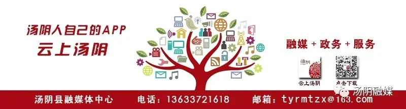 汤阴考生速看!2026中考体育项目及评分标准确定! 第2张