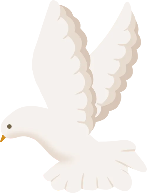 烽火聚力|暖冬叩门凝合力,同心筑梦向中考——晋江市内坑中学2026年初三年段寒假家访纪实 第24张