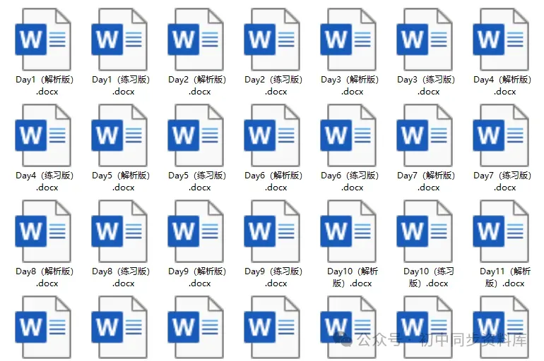 【精品资料】中考语文基础冲刺天天练(100天) 第4张