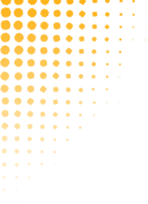 【安庆中考体育寒假专项突破班】十年专注,精准提分!这个寒假,让孩子的弱项变强项! 第2张
