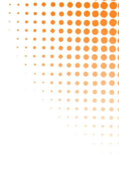 【安庆中考体育寒假专项突破班】十年专注,精准提分!这个寒假,让孩子的弱项变强项! 第3张
