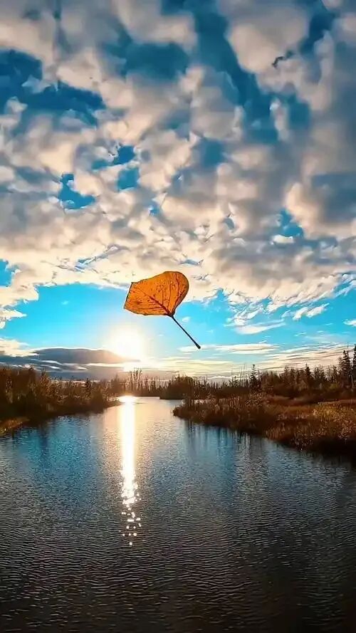 中考微写作任务题设计(十九) 第2张