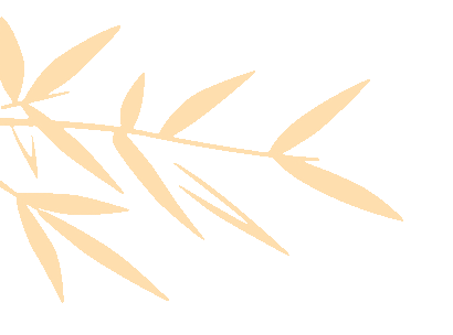 这个寒假,给孩子一次“质”的飞跃!济南中考体育集训班开课! 第1张