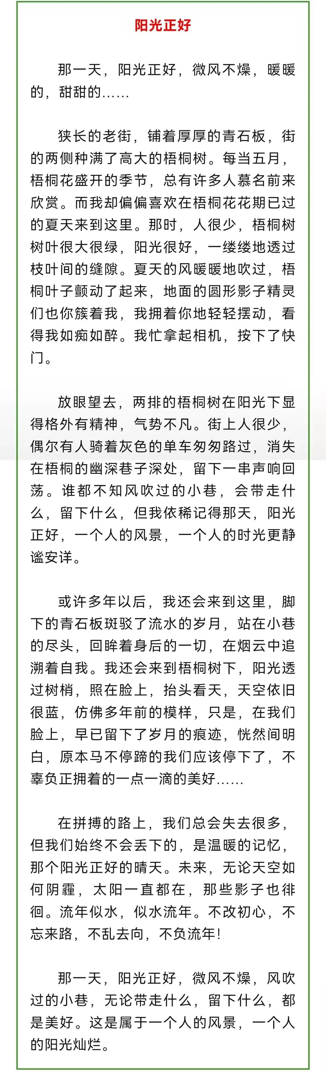 中考作文范文《阳光正好》 第1张