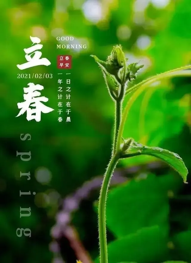 2026中考押题作文满分范文20篇:成长类主题,趁寒假积累写作素材! 第4张