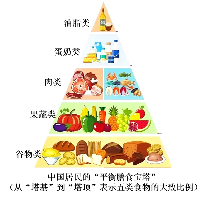 2026年中考专项复习:第06讲 语言表达与综合性学习(练习)(解析版) 第21张