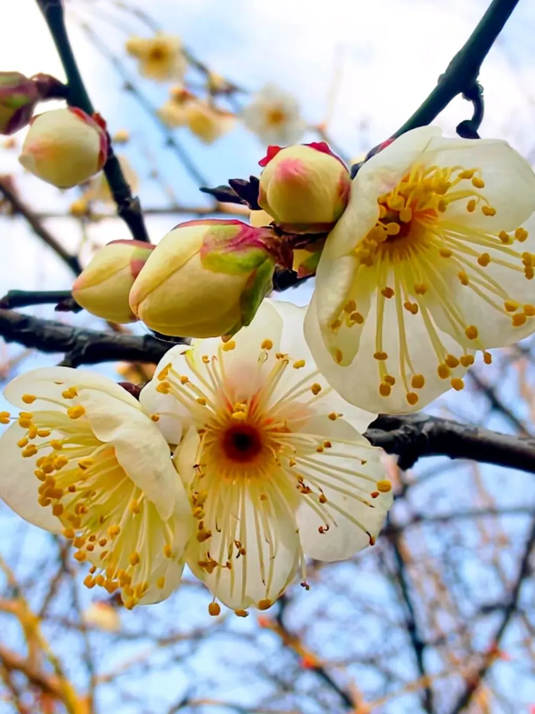 中考高分作文突破 | 《垂钓之乐》 第13张