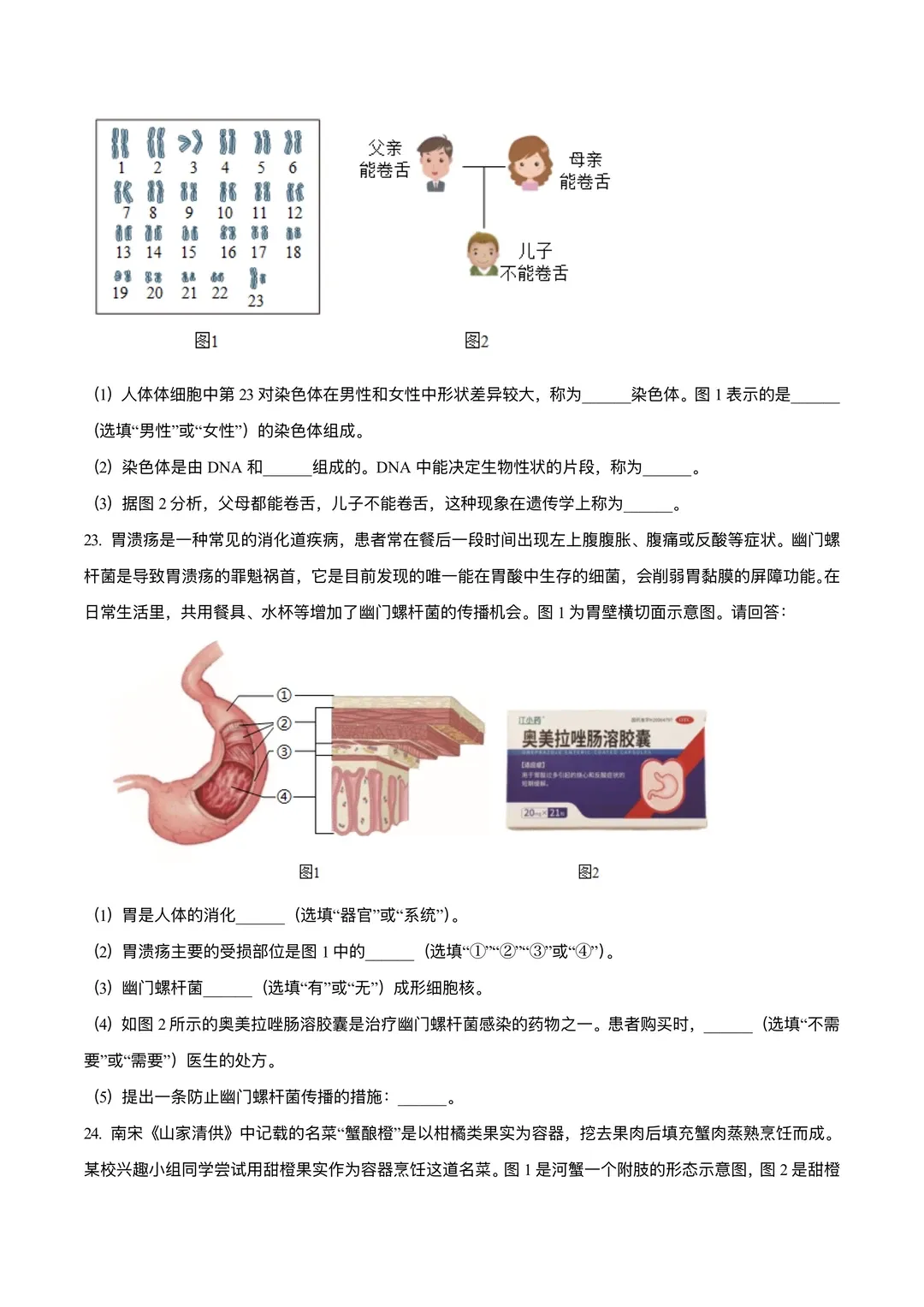 25年上海中考——生物试卷(PDF高清版) 第8张