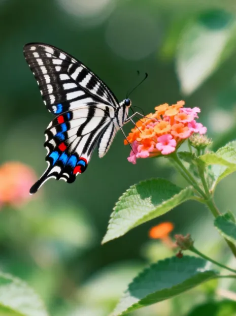 2026年中考文言文阅读寒假每日一练 第2张