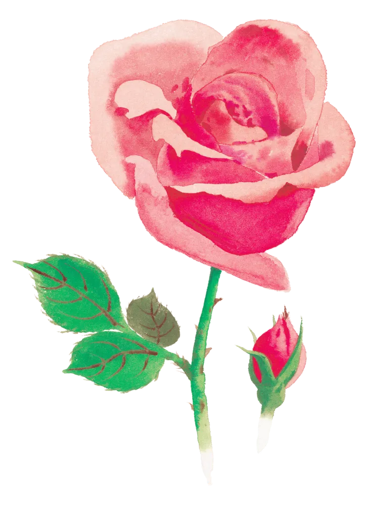 中考材料作文满分作文系列|永恒的生命 张宇浩 徐馨怡 第4张