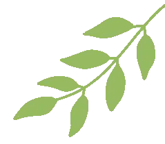 上海各区中考数学模拟考题分享--专题一实数及其运算 第25张