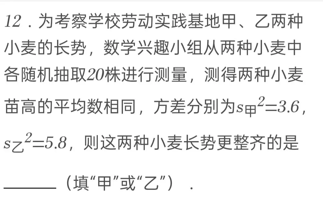 2025年河南省中考数学试卷 第12张