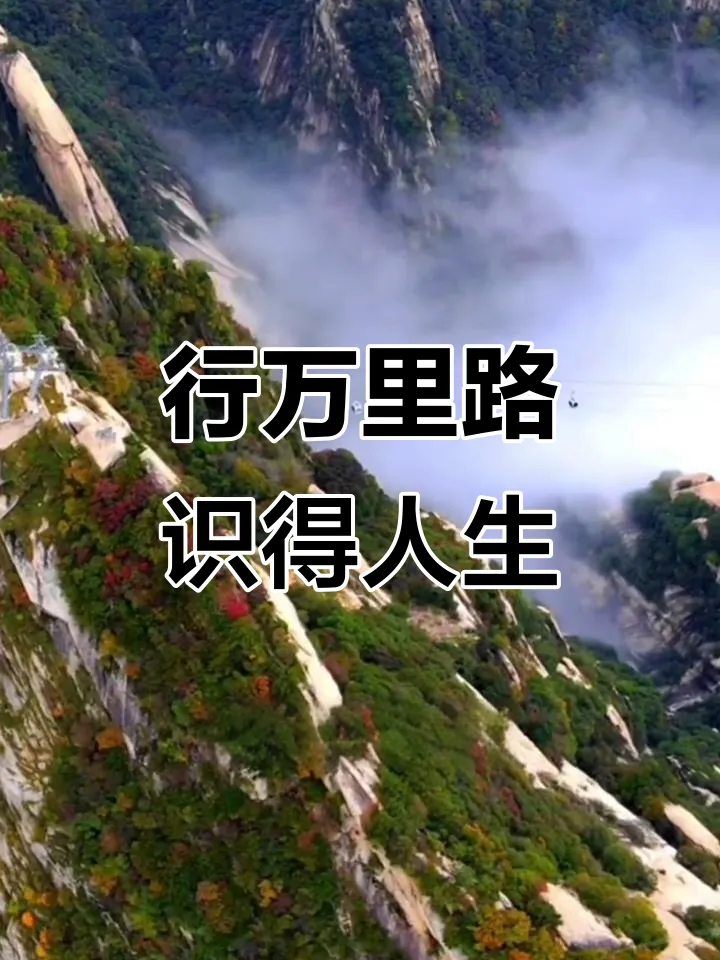 重庆中考英语新题型概要补全练习8参考答案 第1张