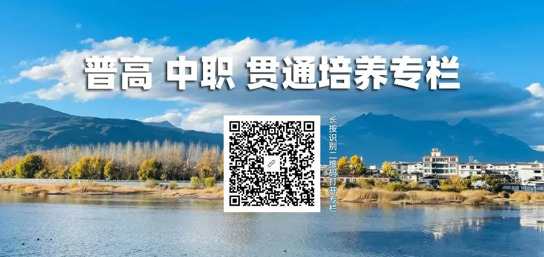 距离中考5个月|现在努力还来得及吗?初三党&家长必看的全局规划 | 规划系列 第1张