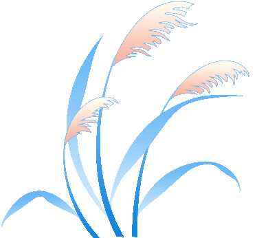 英语中考之完形填空 第5张