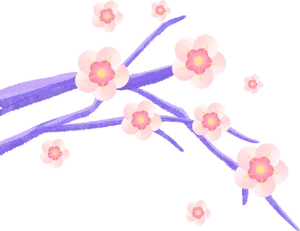 寒假专项突破 || 中考语法精品课系列——代词 第1张