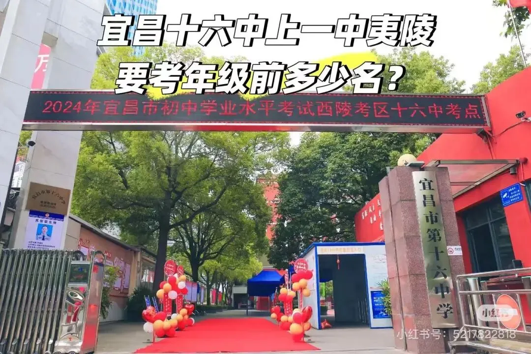 重磅!宜昌十六中中考一中夷陵葛高录取门槛:分数 + 名次全拆解 第2张