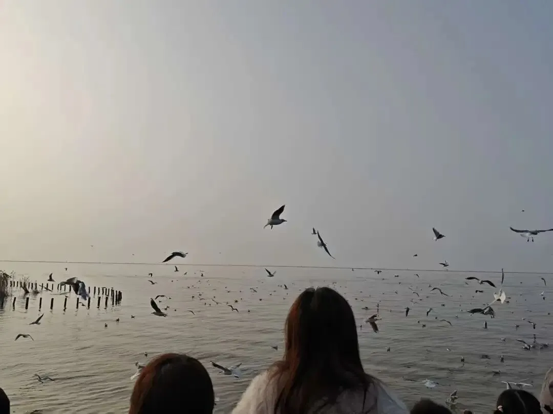 【初三家长必看!中考升学新赛道,本科升学不止一条路!】 第3张