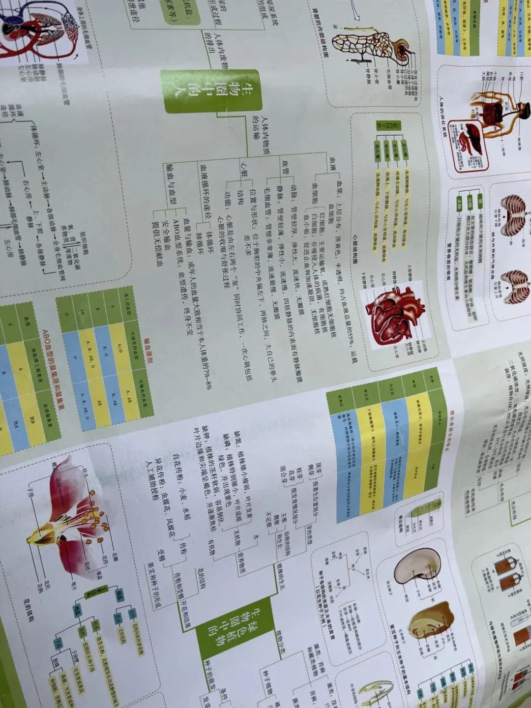初二注意!2026中考时间已定,寒假这样备考生地! 第4张