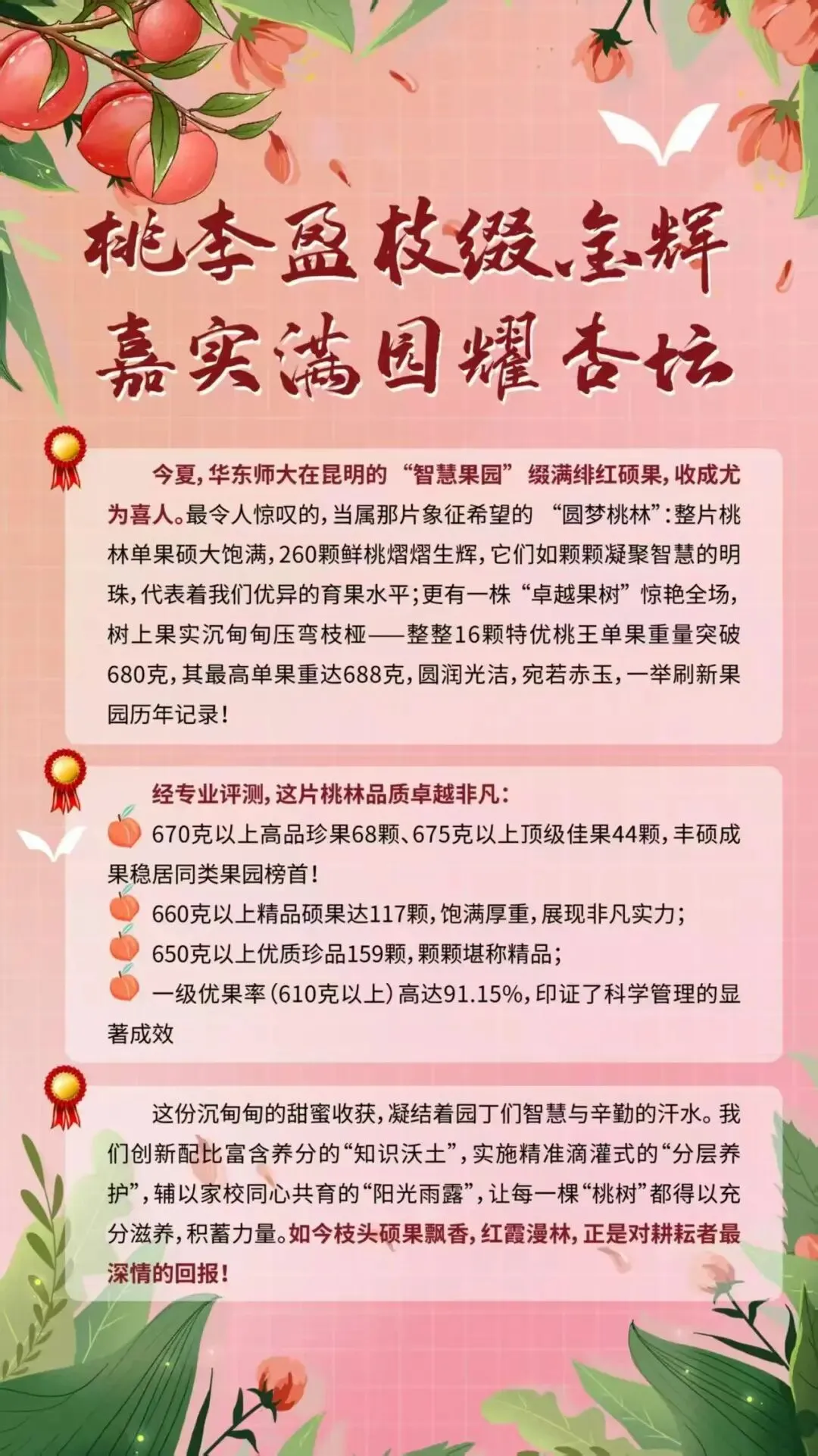 昆明小升初丨2025昆明部分初中学校中考成绩 第11张