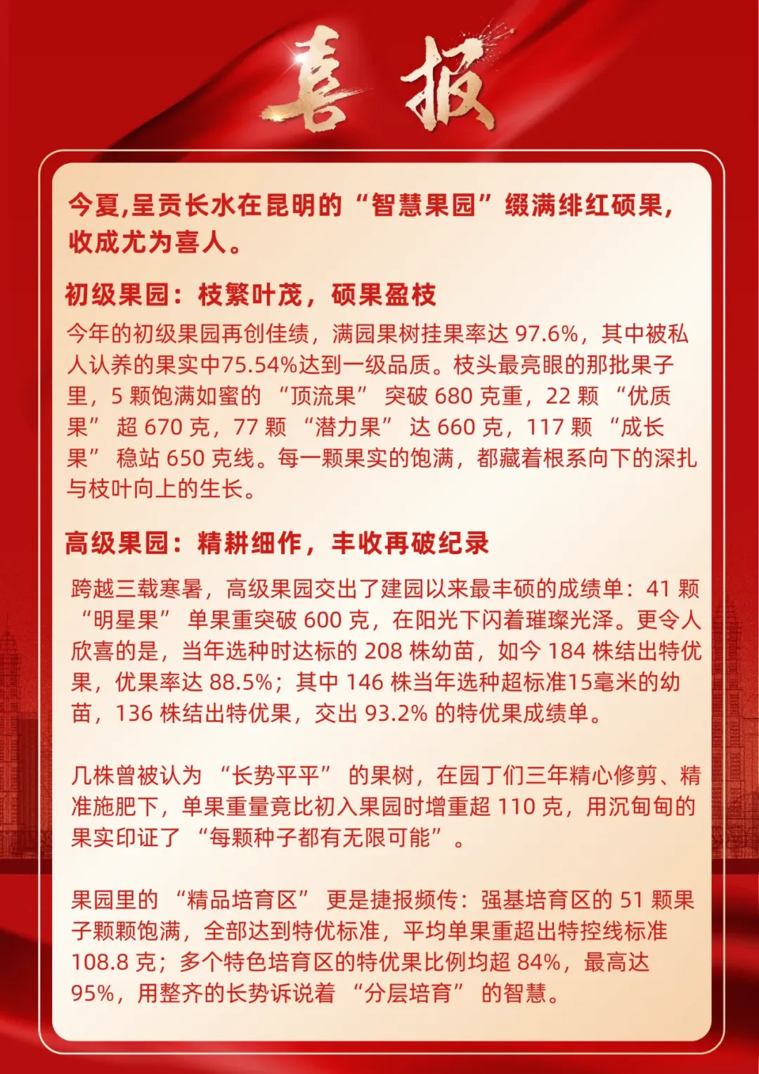 昆明小升初丨2025昆明部分初中学校中考成绩 第17张