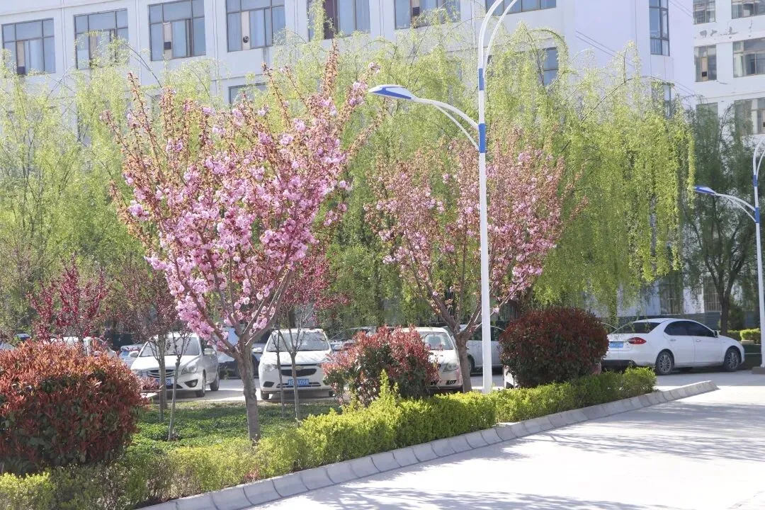 【中考资讯】礼县第二中学2020年中考温馨提示 第9张