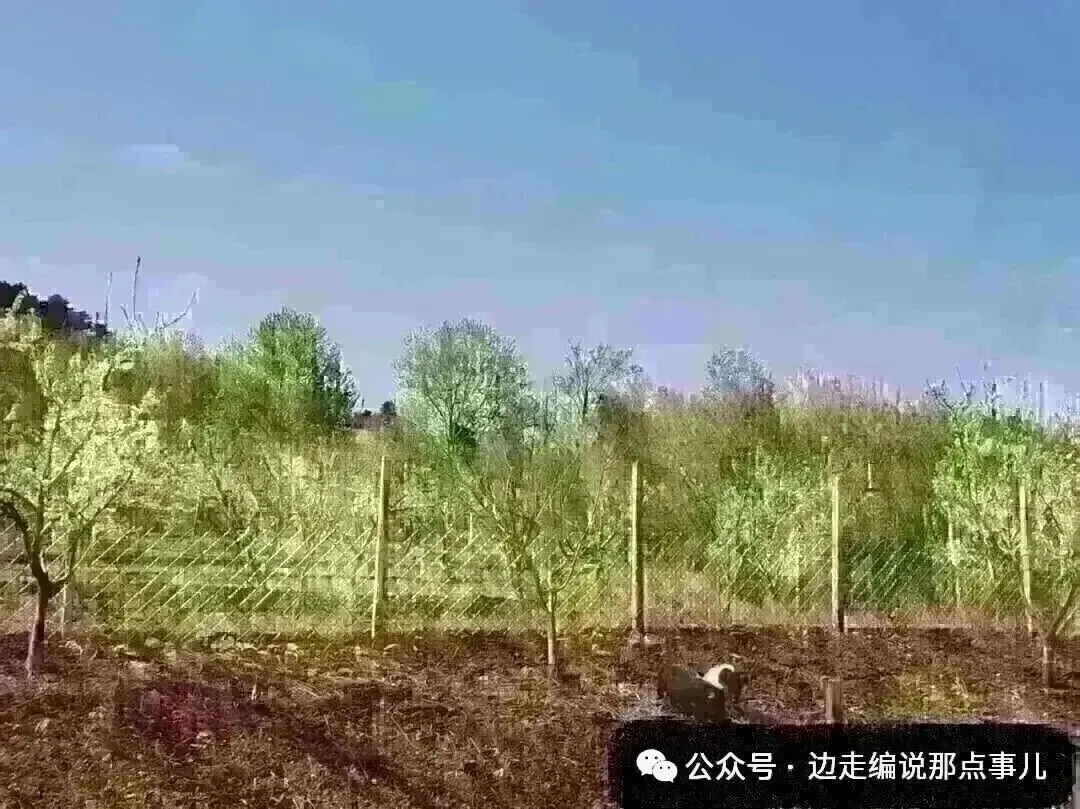 中考日期确定!辽宁省教育厅发布通知! 第7张