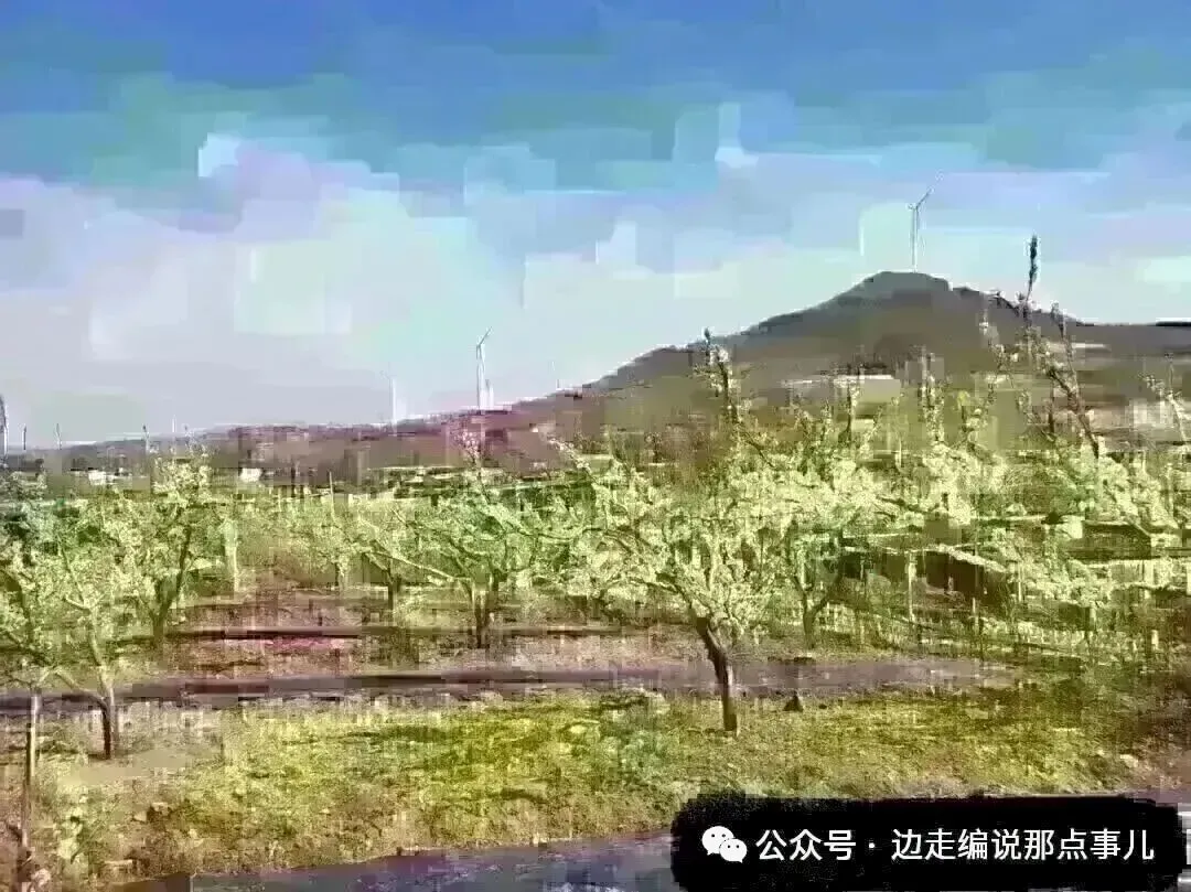 中考日期确定!辽宁省教育厅发布通知! 第8张