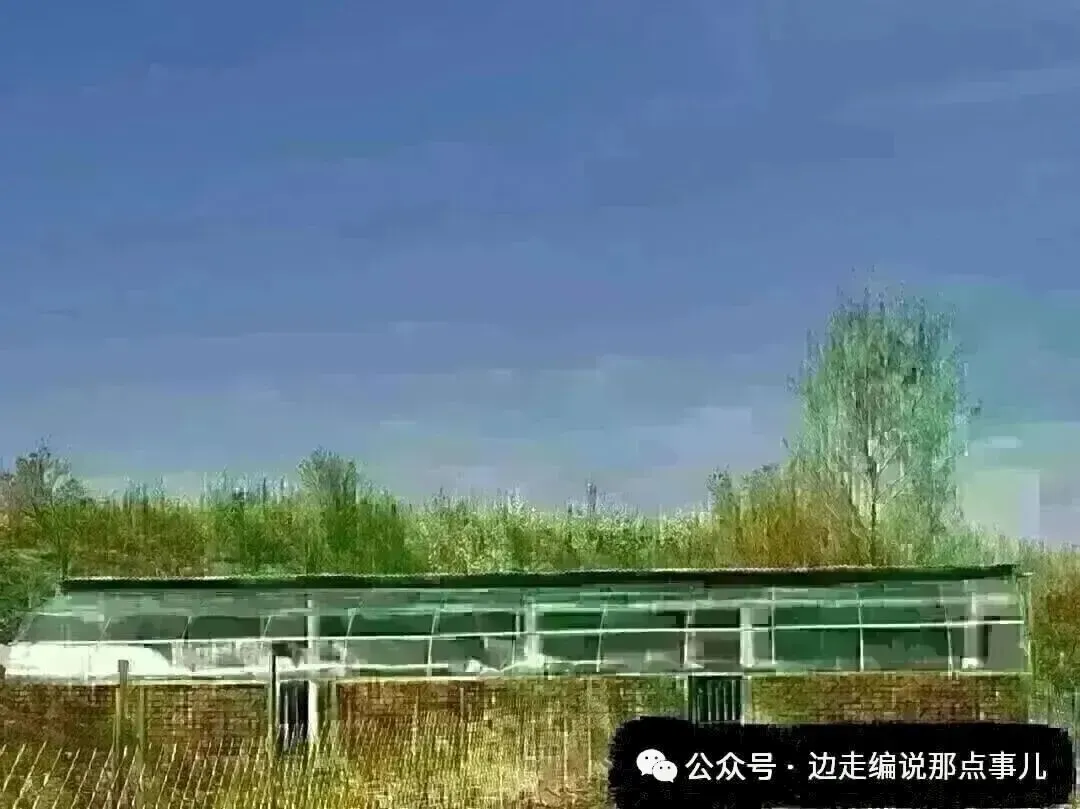 中考日期确定!辽宁省教育厅发布通知! 第9张