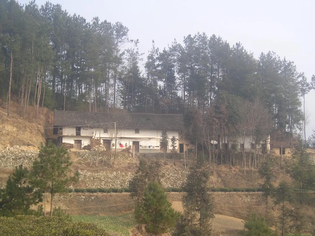 中考高考都失败的大学小透明,10个月考上北大研究生,我是如何做到的? 第4张