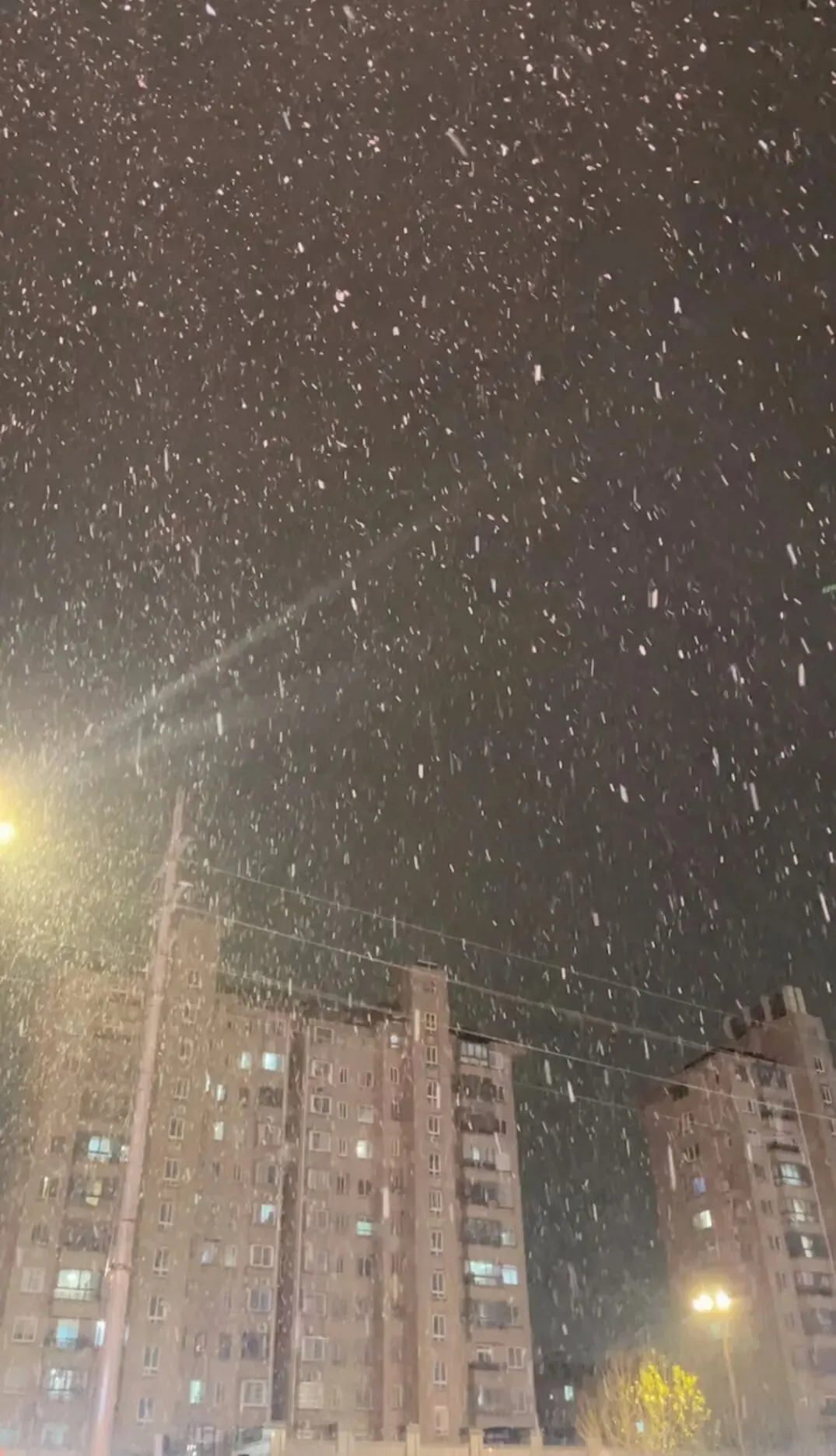 中考倒计时134天,你用哪招拽初三“宅娃”出去走走 第1张