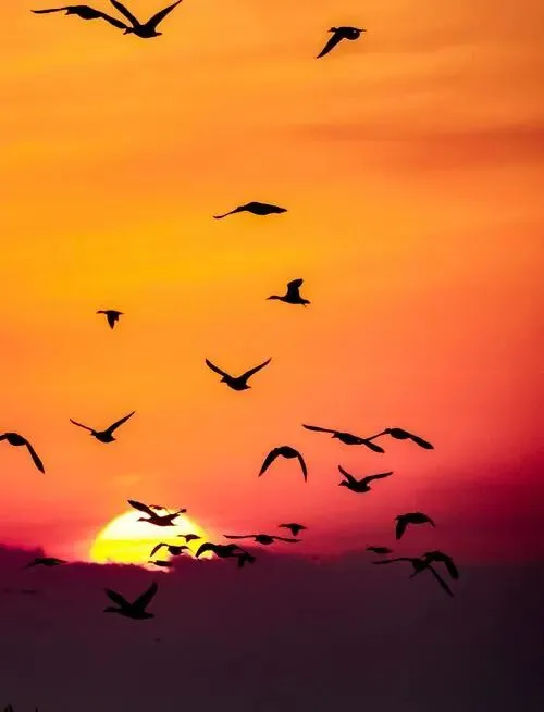 中考微写作任务题设计(二十一) 第2张