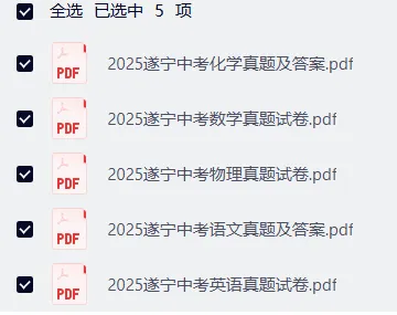 【各省】2025年中考真题【全科】试卷真题+参考答案(历年真题,PDF可下载) 第60张