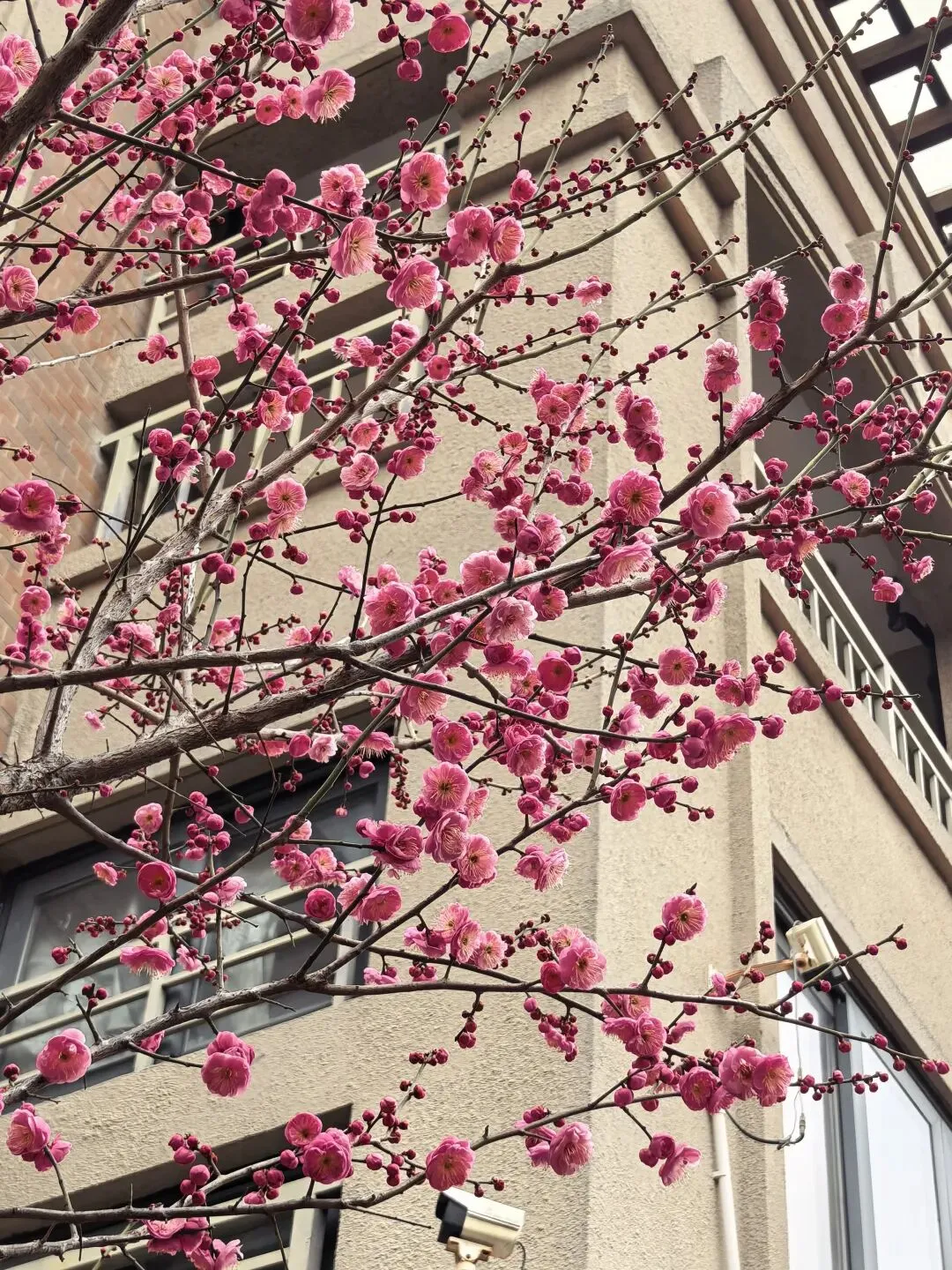 上海2027年中考语文考试命题题型的变化 第4张 上海2027年中考语文考试命题题型的变化 第4张