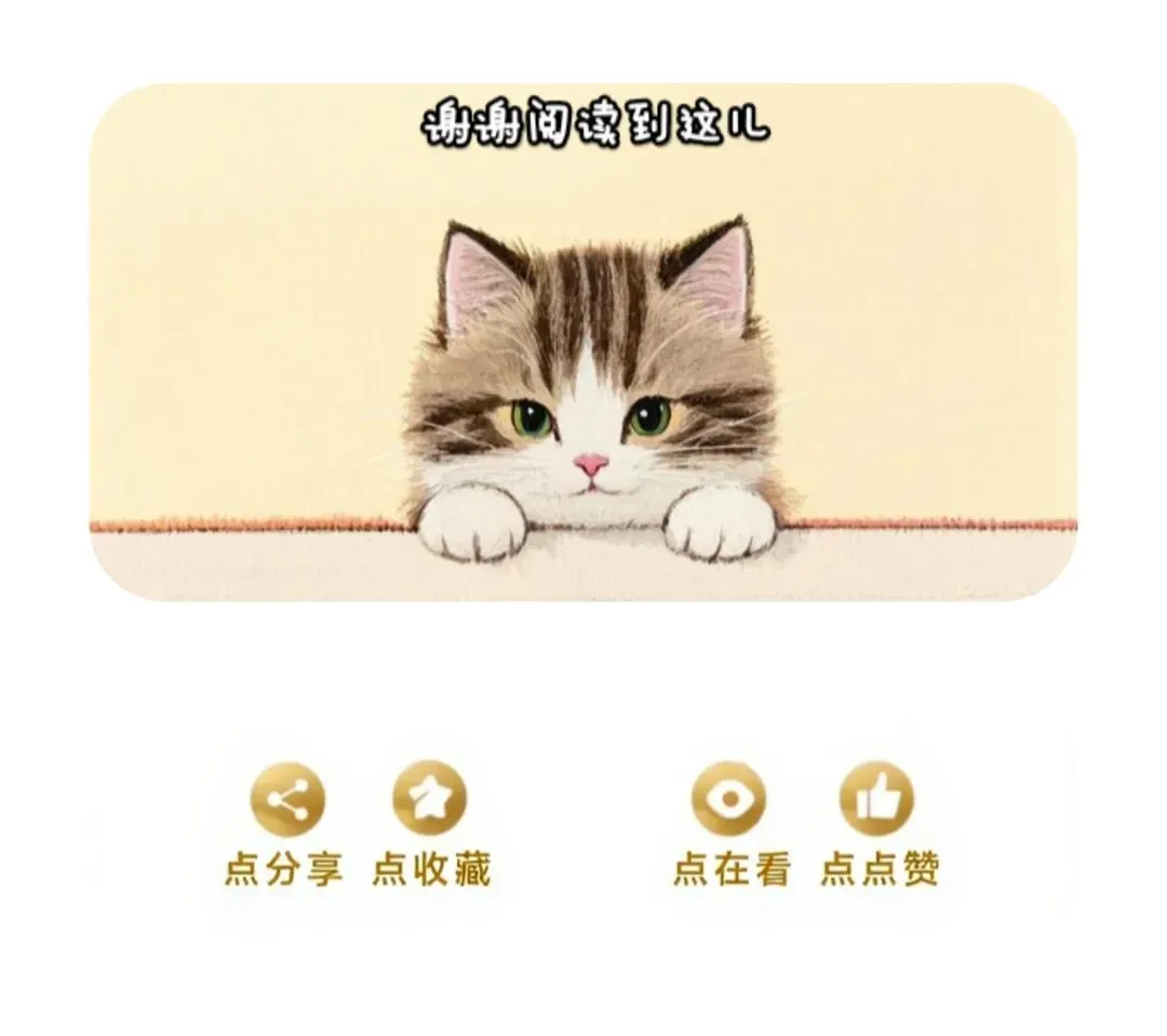 中考作文《银杏知道》 第2张