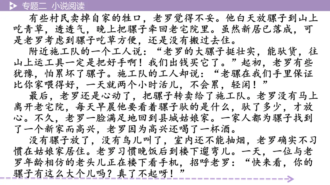 【2026中考总复习】小说阅读:考点训练 第23张