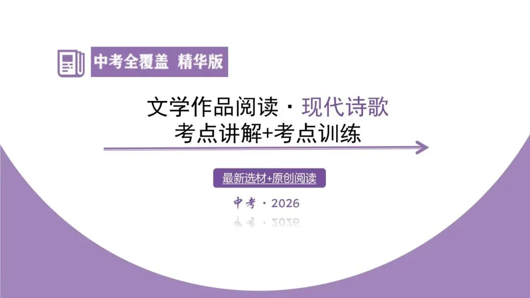 【最新版2026中考总复习】文学作品阅读:现代诗歌阅读·考点讲解、训练 第9张