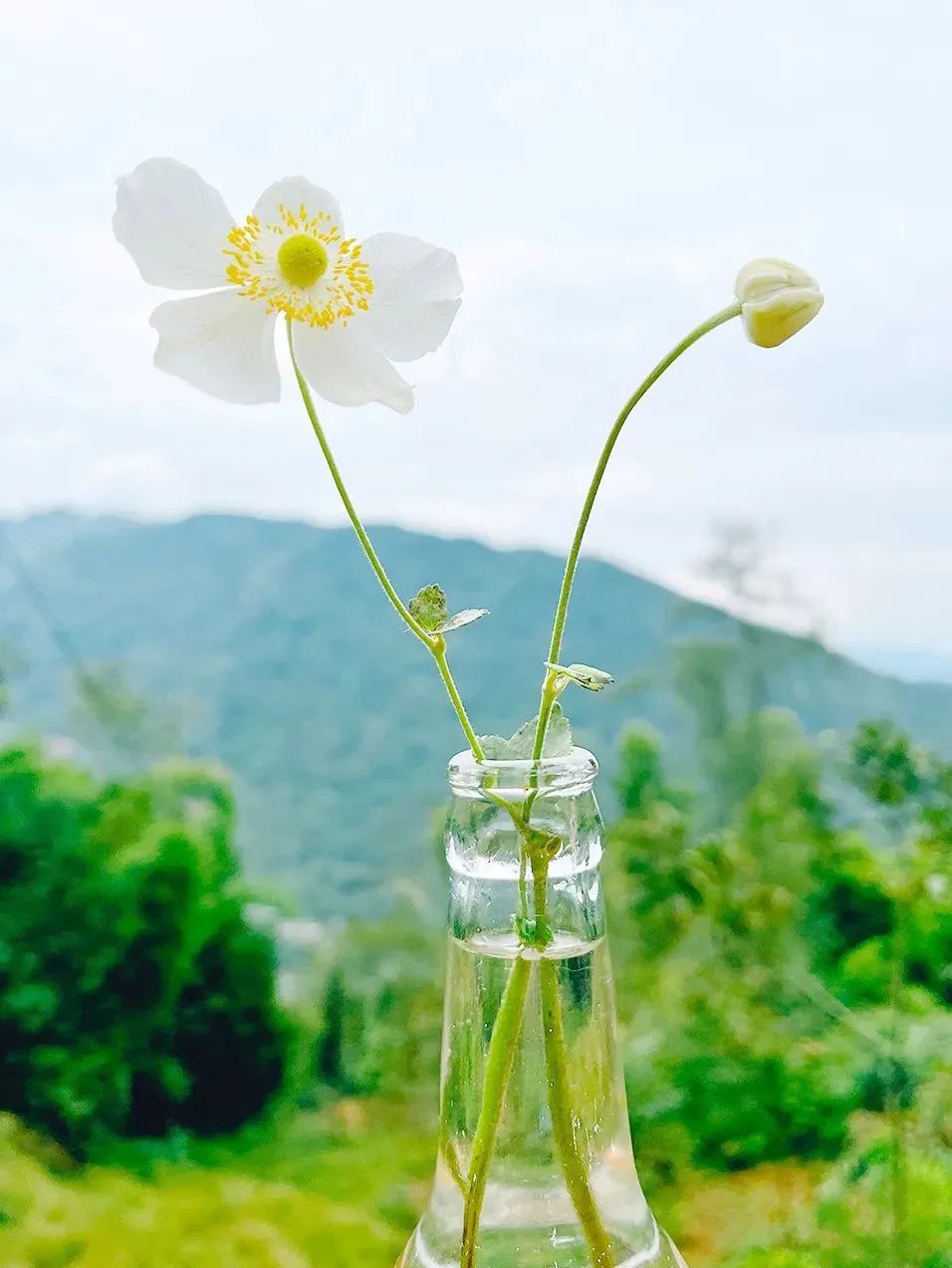 2026年中考语文押题作文(三) 第2张