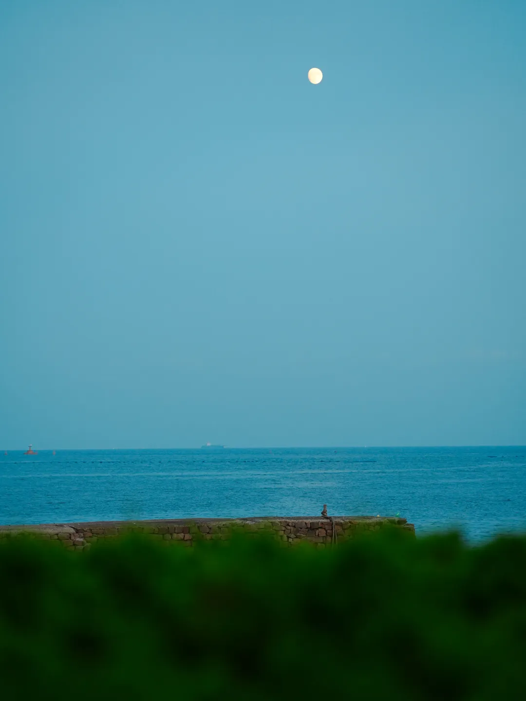 2026年中考语文押题作文(三) 第13张