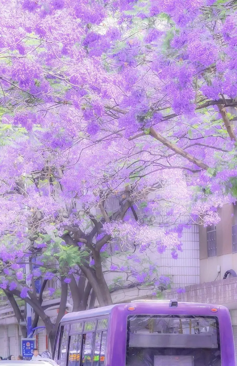 教育部:推进中考改革,严把教辅征订“入口关” 第3张