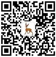 突发!取消中考、全员直升普高!上海… 第18张