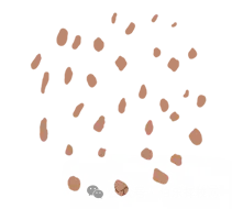 2026年中考分界:五年一贯制报考指南 第5张 2026年中考分界:五年一贯制报考指南 第5张