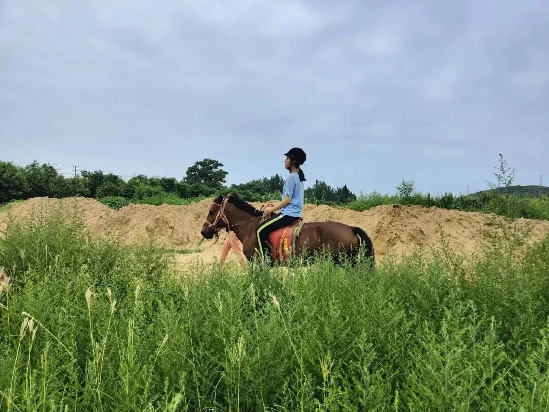 姐姐中考小结 第2张 姐姐中考小结 第2张