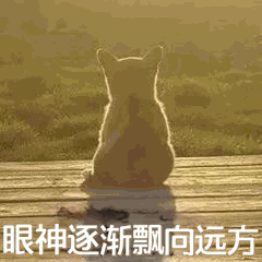 中考一轮复习策略,你get到了吗? 第4张