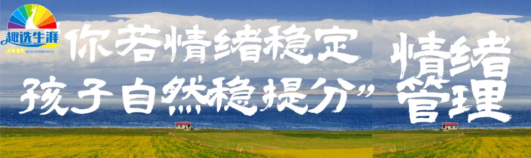 深圳中考寒假情绪篇:识别孩子的“能量类型”,真正点燃学习内驱力 第1张