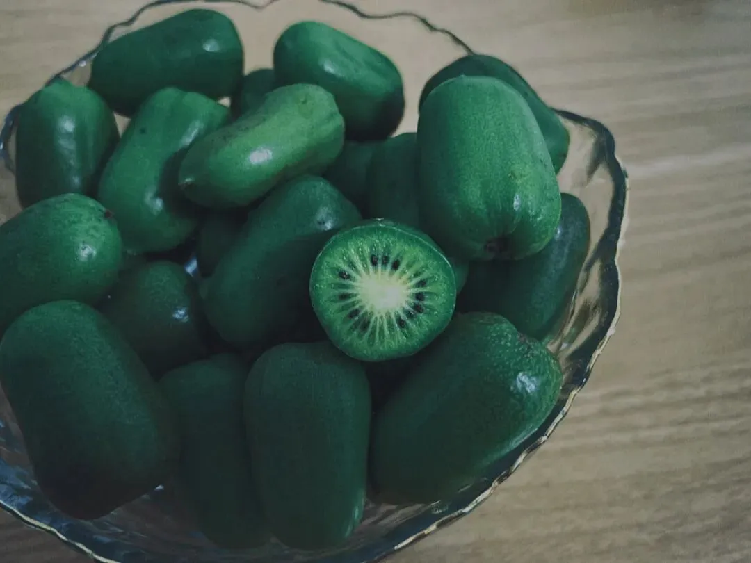 除了中考,初中毕业生还有更好的路吗? 第2张 除了中考,初中毕业生还有更好的路吗? 第2张