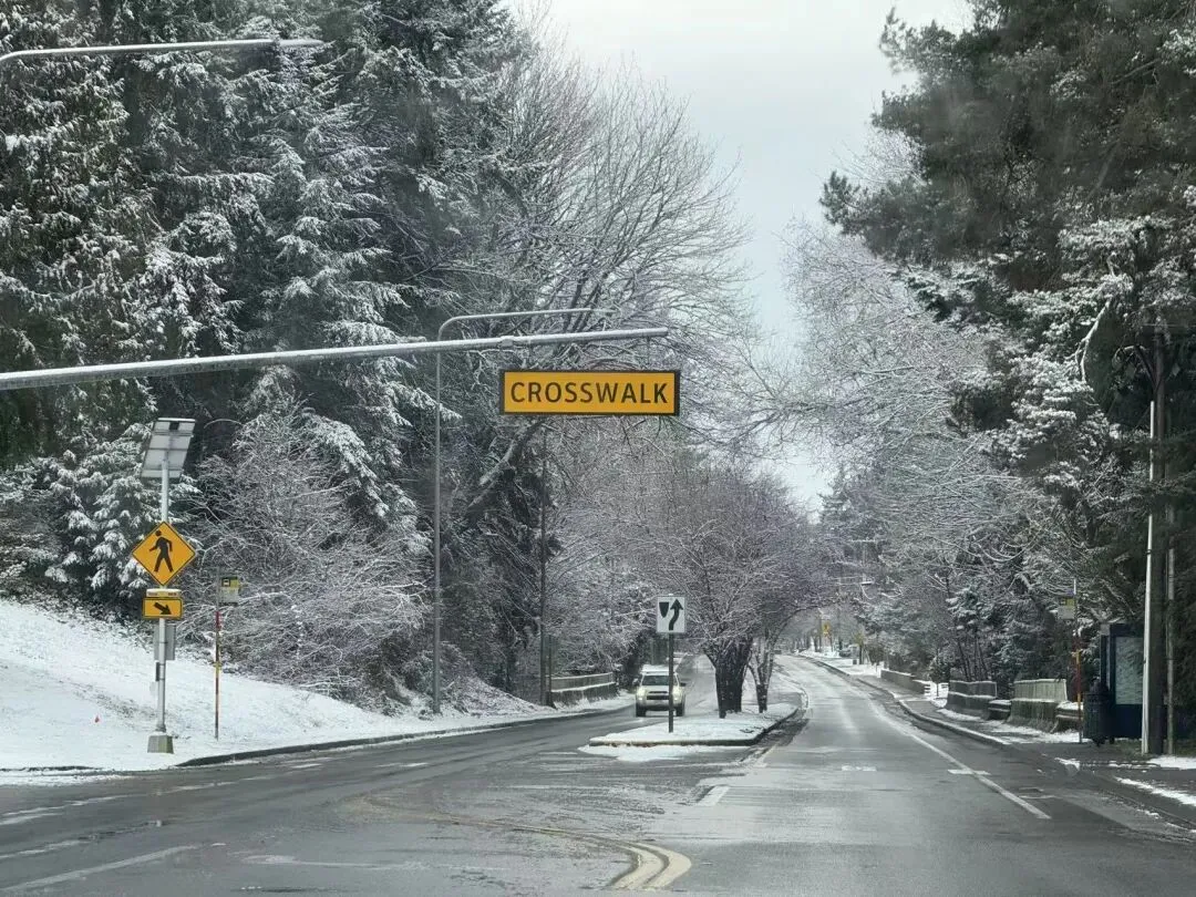 除了中考,初中毕业生还有更好的路吗? 第3张 除了中考,初中毕业生还有更好的路吗? 第3张
