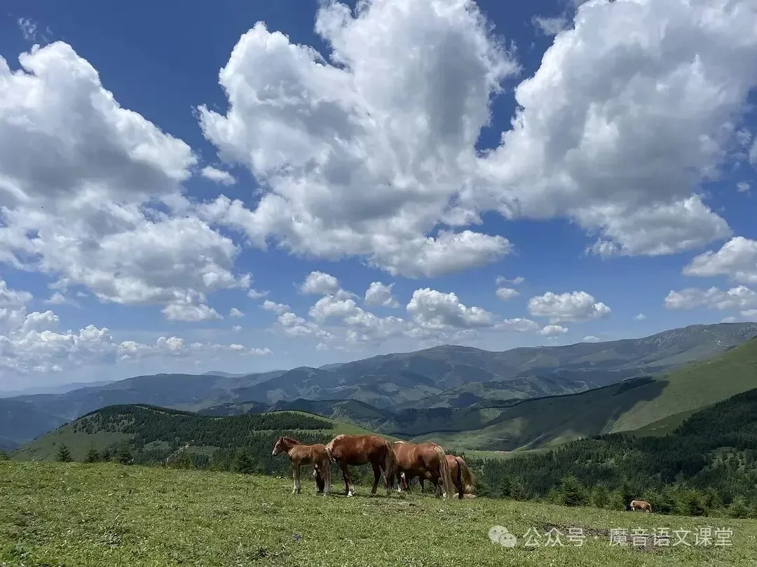 2026年中考语文现代文阅读理解常见答题技巧(万能公式) 第1张